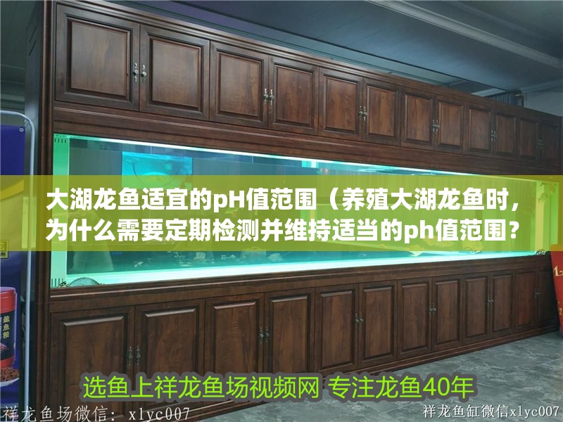 大湖龍魚適宜的pH值范圍（養殖大湖龍魚時，為什么需要定期檢測并維持適當的ph值范圍？）