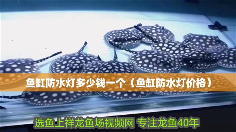 魚缸防水燈多少錢一個（魚缸防水燈價(jià)格）