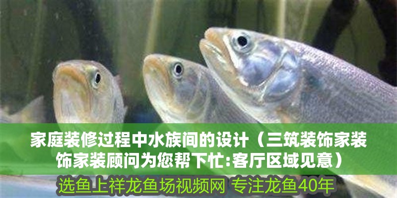 家庭裝修過程中水族間的設計（三筑裝飾家裝飾家裝顧問為您幫下忙:客廳區域見意）
