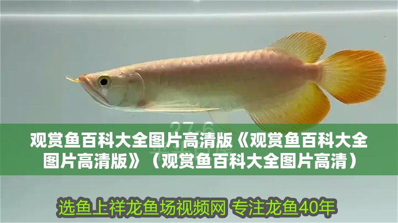 觀賞魚百科大全圖片高清版《觀賞魚百科大全圖片高清版》（觀賞魚百科大全圖片高清）