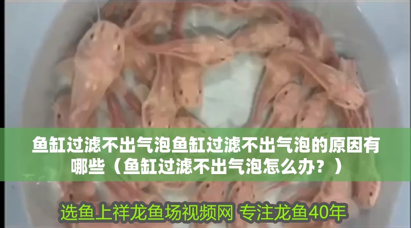 魚缸過濾不出氣泡魚缸過濾不出氣泡的原因有哪些（魚缸過濾不出氣泡怎么辦？） 魚缸過濾不出氣泡魚缸過濾不出氣泡的原因有哪些（魚缸過濾不出氣泡怎么辦？） 觀賞魚百科