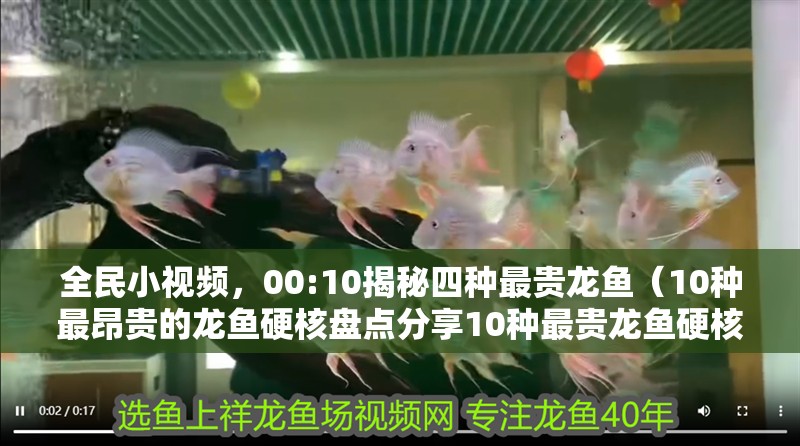 全民小視頻，00:10揭秘四種最貴龍魚（10種最昂貴的龍魚硬核盤點分享10種最貴龍魚硬核盤點）