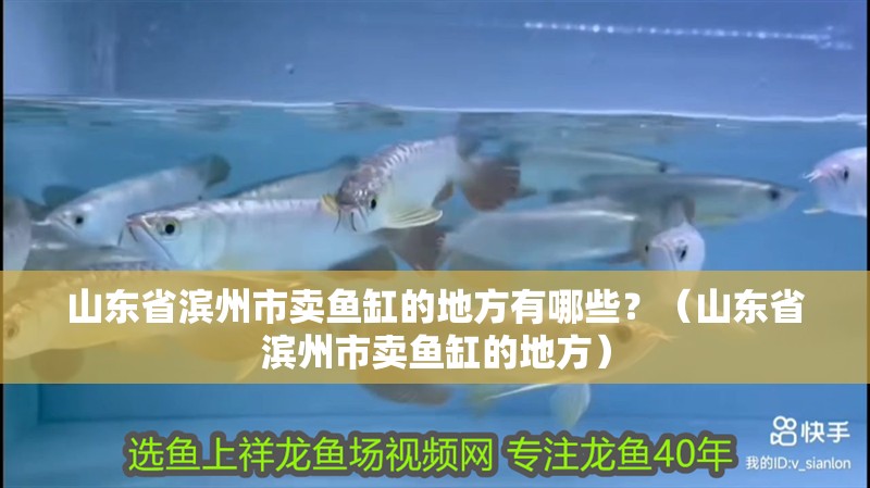 山東省濱州市賣魚缸的地方有哪些？（山東省濱州市賣魚缸的地方） 山東省濱州市賣魚缸的地方有哪些？（山東省濱州市賣魚缸的地方） 觀賞魚百科 第2張