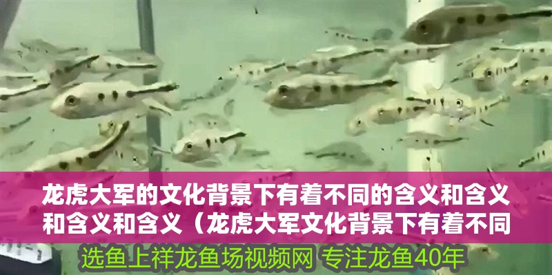 龍虎大軍的文化背景下有著不同的含義和含義和含義和含義（龍虎大軍文化背景下有著不同的含義和含義和含義和含義）