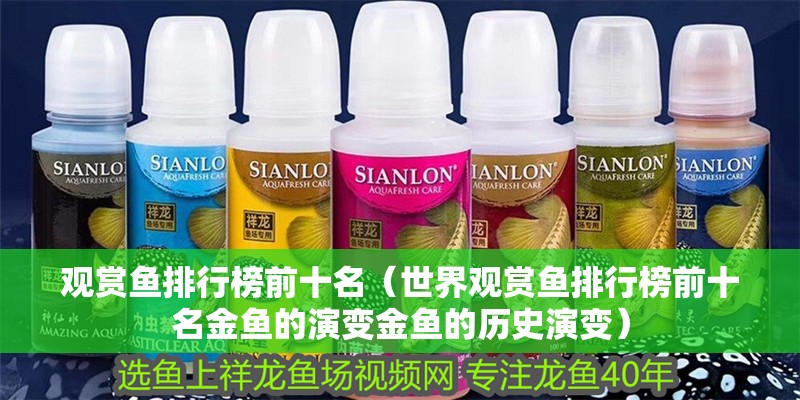 觀賞魚排行榜前十名（世界觀賞魚排行榜前十名金魚的演變金魚的歷史演變）