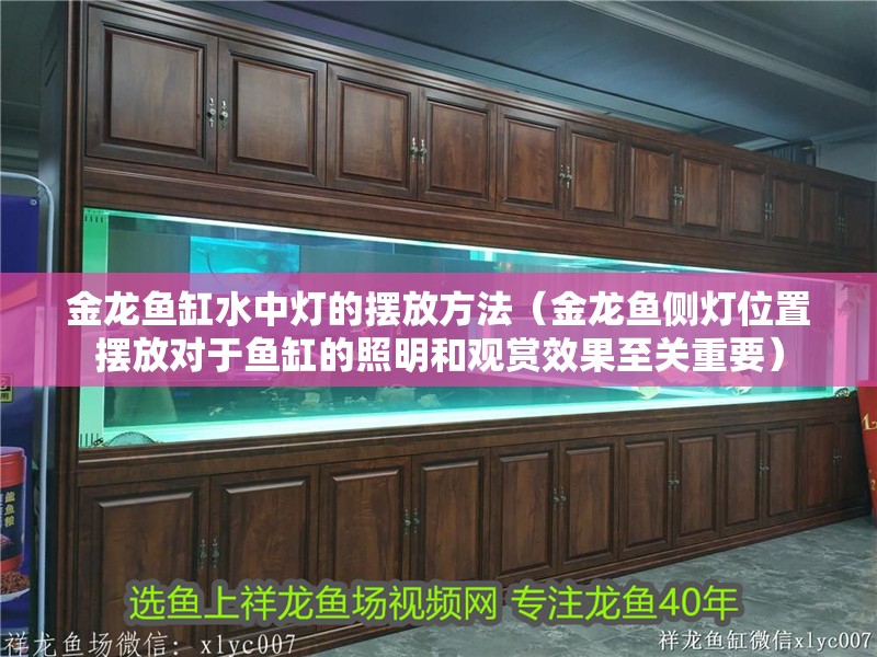 金龍魚缸水中燈的擺放方法（金龍魚側(cè)燈位置擺放對(duì)于魚缸的照明和觀賞效果至關(guān)重要）