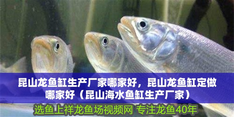昆山龍魚缸生產廠家哪家好，昆山龍魚缸定做哪家好（昆山海水魚缸生產廠家）