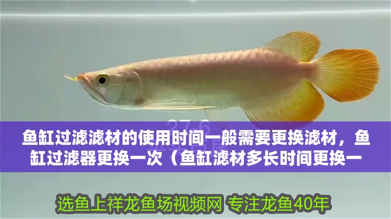 魚缸過濾濾材的使用時間一般需要更換濾材，魚缸過濾器更換一次（魚缸濾材多長時間更換一次好）