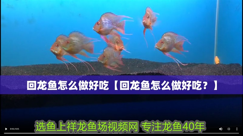 回龍魚怎么做好吃【回龍魚怎么做好吃？】