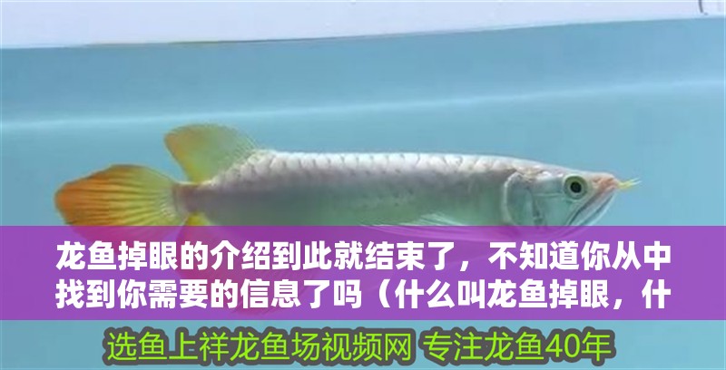 龍魚掉眼的介紹到此就結束了,不知道你從中找到你需要的信息了嗎(什么叫龍魚掉眼,什么叫龍魚掉眼的介紹到此就結束了) 觀賞魚百科 第2張 龍魚掉眼的介紹到此就結束了,不知道你從中找到你需要的信息了嗎(什么叫龍魚掉眼,什么叫龍魚掉眼的介紹到此就結束了) 龍魚掉眼的介紹到此就結束了,不知道你從中找到你需要的信息了嗎(什么叫龍魚掉眼,什么叫龍魚掉眼的介紹到此就結束了) 觀賞魚百科 第2張