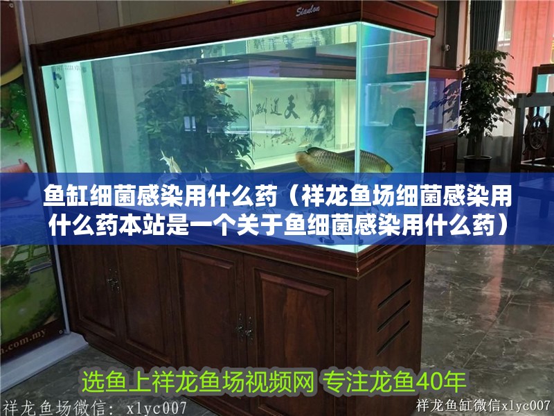 魚缸細菌感染用什么藥（祥龍魚場細菌感染用什么藥本站是一個關于魚細菌感染用什么藥）