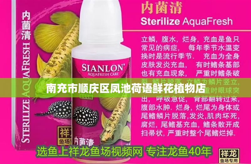 南充市順慶區鳳池荷語鮮花植物店