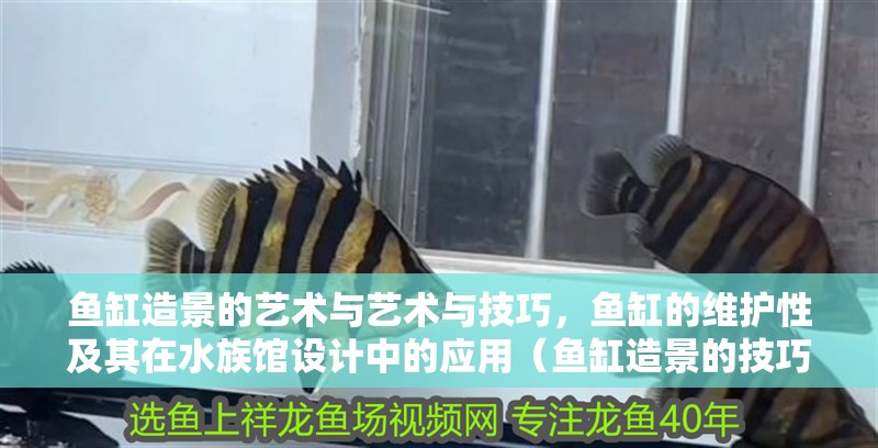 魚缸造景的藝術與藝術與技巧，魚缸的維護性及其在水族館設計中的應用（魚缸造景的技巧）