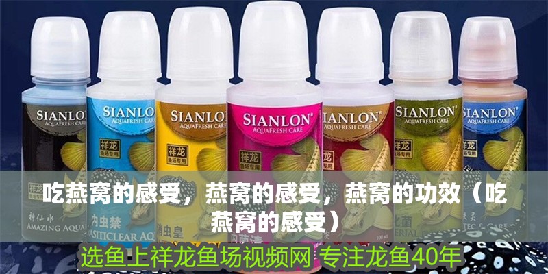 吃燕窩的感受，燕窩的感受，燕窩的功效（吃燕窩的感受）