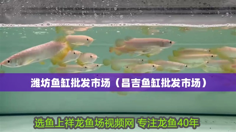 濰坊魚缸批發市場（昌吉魚缸批發市場）