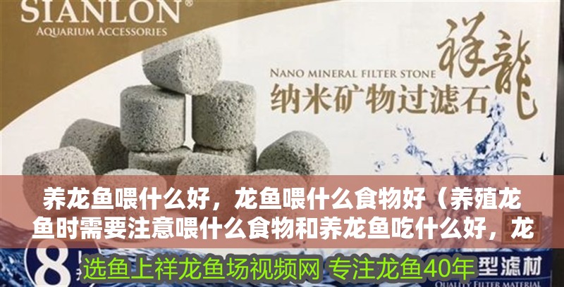 養龍魚喂什么好，龍魚喂什么食物好（養殖龍魚時需要注意喂什么食物和養龍魚吃什么好，龍魚吃什么好） 養龍魚喂什么好，龍魚喂什么食物好（養殖龍魚時需要注意喂什么食物和養龍魚吃什么好，龍魚吃什么好） 觀賞魚百科