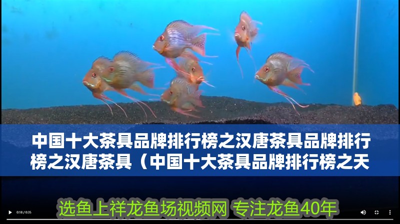 中國十大茶具品牌排行榜之漢唐茶具品牌排行榜之漢唐茶具（中國十大茶具品牌排行榜之天福茗茶） 中國十大茶具品牌排行榜之漢唐茶具品牌排行榜之漢唐茶具（中國十大茶具品牌排行榜之天福茗茶） 觀賞魚百科