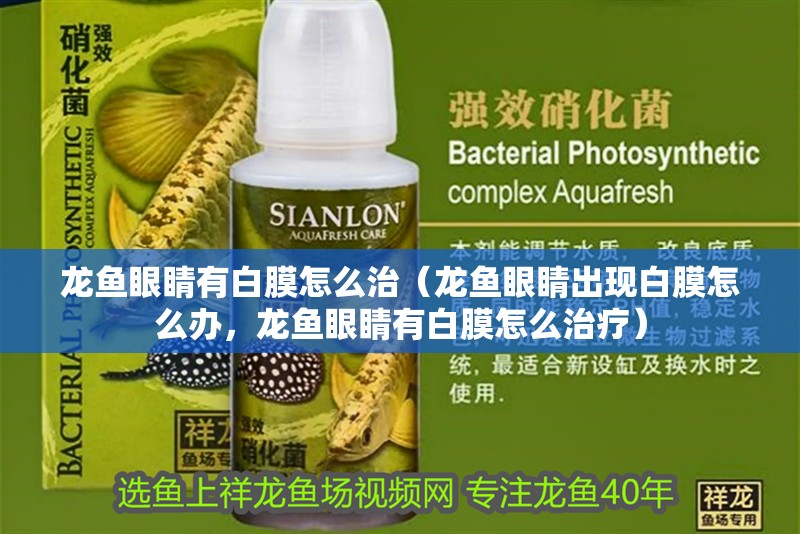 龍魚眼睛有白膜怎么治（龍魚眼睛出現白膜怎么辦，龍魚眼睛有白膜怎么治療） 龍魚眼睛有白膜怎么治（龍魚眼睛出現白膜怎么辦，龍魚眼睛有白膜怎么治療） 觀賞魚百科 第4張