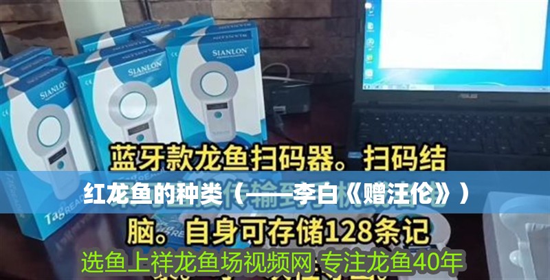 紅龍魚的種類（——李白《贈汪倫》）