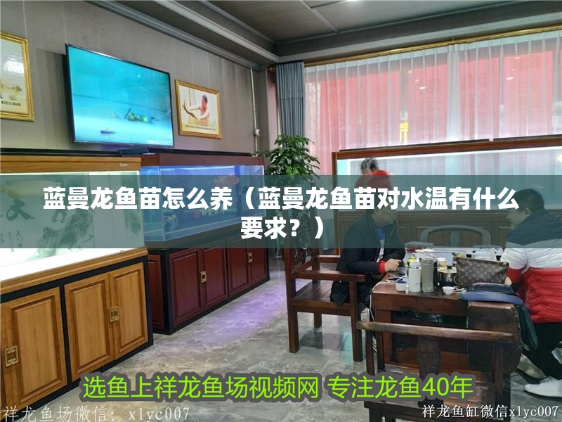 藍曼龍魚苗怎么養（藍曼龍魚苗對水溫有什么要求？）