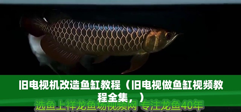舊電視機改造魚缸教程（舊電視做魚缸視頻教程全集，）