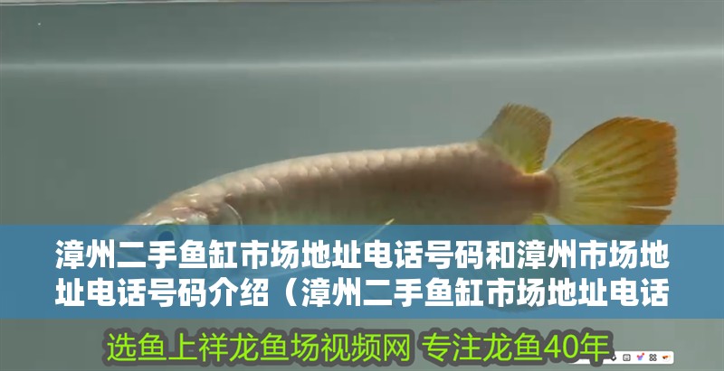 <strong><mark>漳州</mark></strong>二手魚(yú)缸市場(chǎng)地址電話號(hào)碼和<strong><mark>漳州</mark></strong>市場(chǎng)地址電話號(hào)碼介紹（<strong><mark>漳州</mark></strong>二手魚(yú)缸市場(chǎng)地址電話號(hào)碼和<strong><mark>漳州</mark></strong>二手交易市場(chǎng)在哪里？）