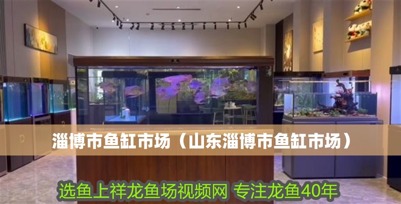 淄博市魚缸市場（山東淄博市魚缸市場）