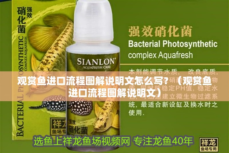 觀賞魚進口流程圖解說明文怎么寫？（觀賞魚進口流程圖解說明文）