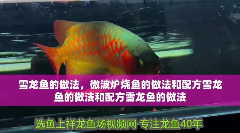 雪龍魚的做法，微波爐燒魚的做法和配方雪龍魚的做法和配方雪龍魚的做法