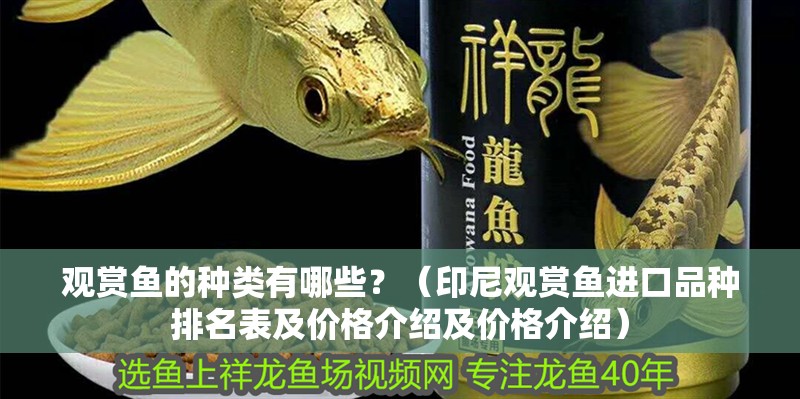 觀賞魚的種類有哪些？（印尼觀賞魚進口品種排名表及價格介紹及價格介紹）