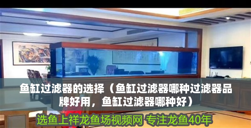 魚缸過濾器的選擇（魚缸過濾器哪種過濾器品牌好用，魚缸過濾器哪種好）