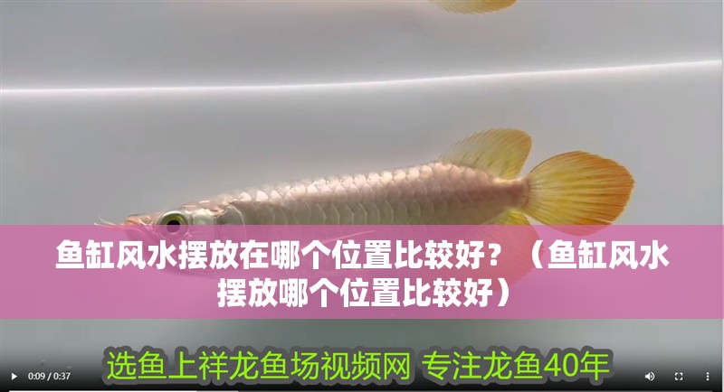 魚缸風(fēng)水?dāng)[放在哪個位置比較好？（魚缸風(fēng)水?dāng)[放哪個位置比較好）