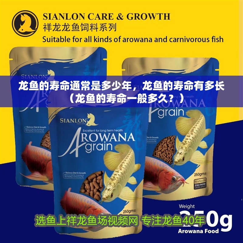 龍魚的壽命通常是多少年，龍魚的壽命有多長（龍魚的壽命一般多久？）