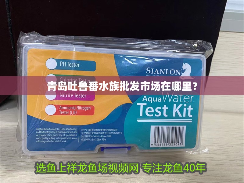青島吐魯番水族批發(fā)市場在哪里？