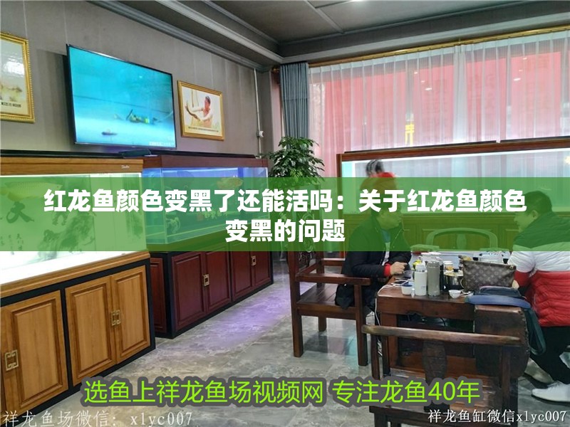 紅龍魚(yú)顏色變黑了還能活嗎：關(guān)于紅龍魚(yú)顏色變黑的問(wèn)題