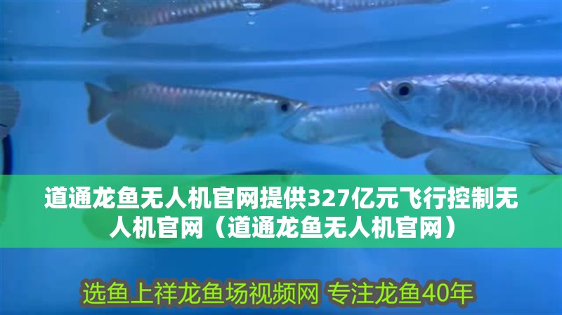 道通龍魚無人機官網提供327億元飛行控制無人機官網（道通龍魚無人機官網）