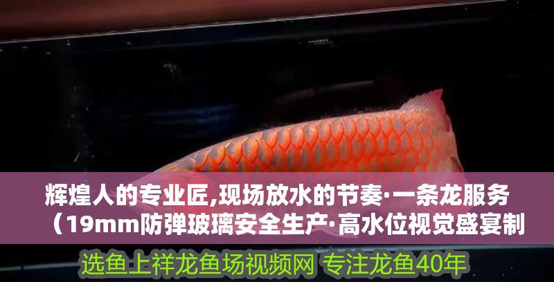 輝煌人的專業匠,現場放水的節奏·一條龍服務（19mm防彈玻璃安全生產·高水位視覺盛宴制缸） 輝煌人的專業匠,現場放水的節奏·一條龍服務（19mm防彈玻璃安全生產·高水位視覺盛宴制缸） 觀賞魚百科