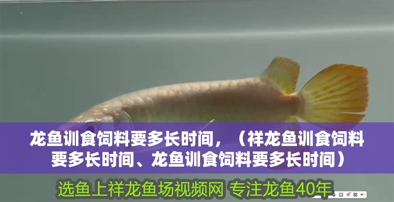龍魚訓食飼料要多長時間，（祥龍魚訓食飼料要多長時間、龍魚訓食飼料要多長時間）
