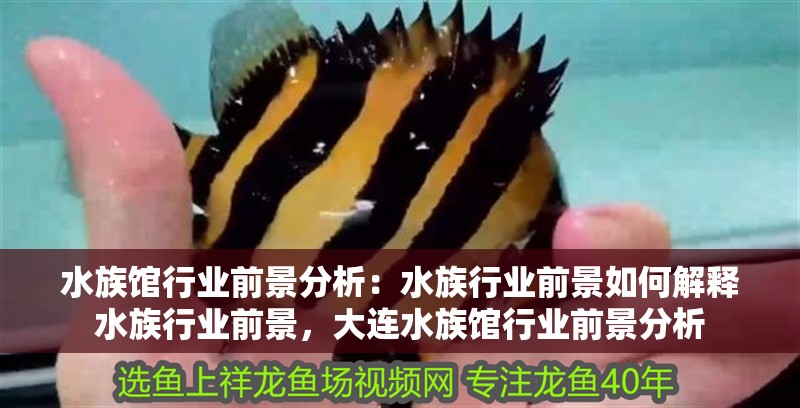 水族館行業(yè)前景分析：水族行業(yè)前景如何解釋水族行業(yè)前景，大連水族館行業(yè)前景分析