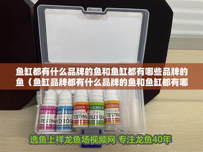 魚缸都有什么品牌的魚和魚缸都有哪些品牌的魚（魚缸品牌都有什么品牌的魚和魚缸都有哪些牌子對應(yīng)的信息）