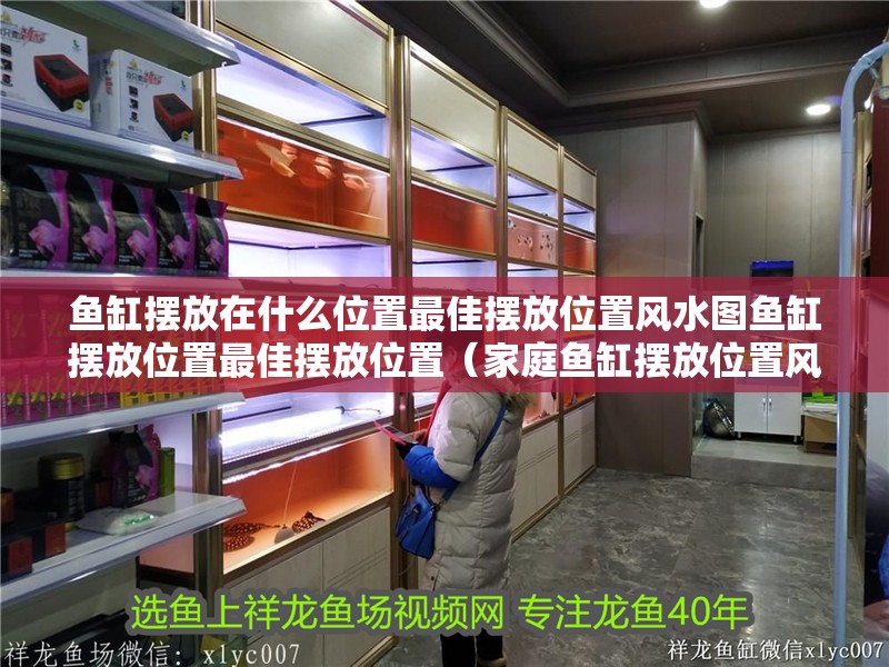 魚缸擺放在什么位置最佳擺放位置風水圖魚缸擺放位置最佳擺放位置（家庭魚缸擺放位置風水圖）