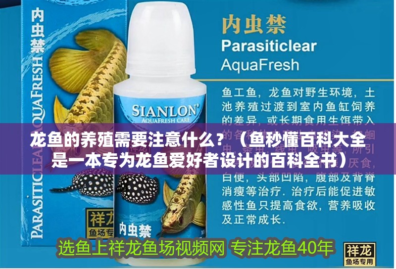 龍魚的養殖需要注意什么？（魚秒懂百科大全是一本專為龍魚愛好者設計的百科全書） 龍魚的養殖需要注意什么？（魚秒懂百科大全是一本專為龍魚愛好者設計的百科全書） 觀賞魚百科