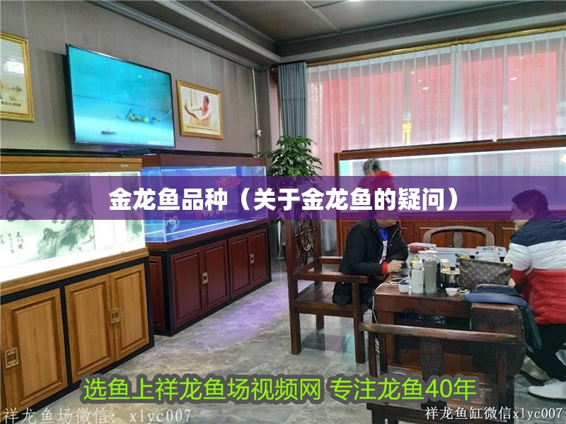 金龍魚品種（關于金龍魚的疑問）