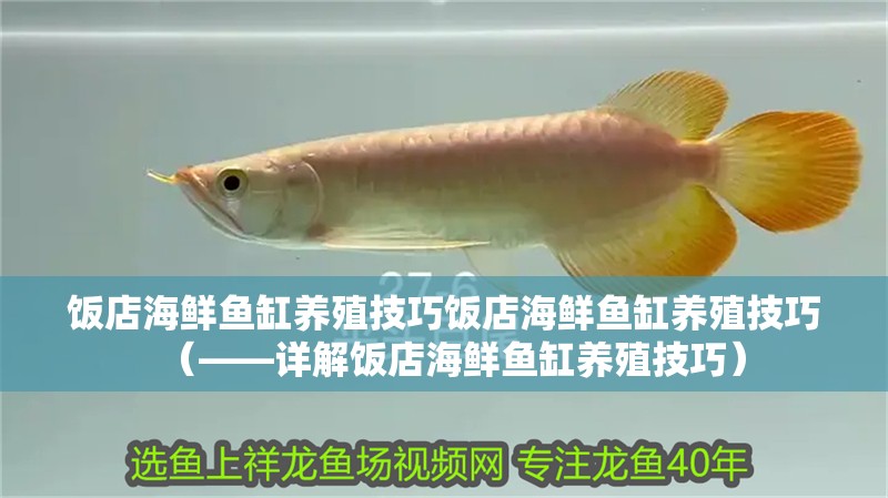 飯店海鮮魚缸養殖技巧飯店海鮮魚缸養殖技巧（——詳解飯店海鮮魚缸養殖技巧）