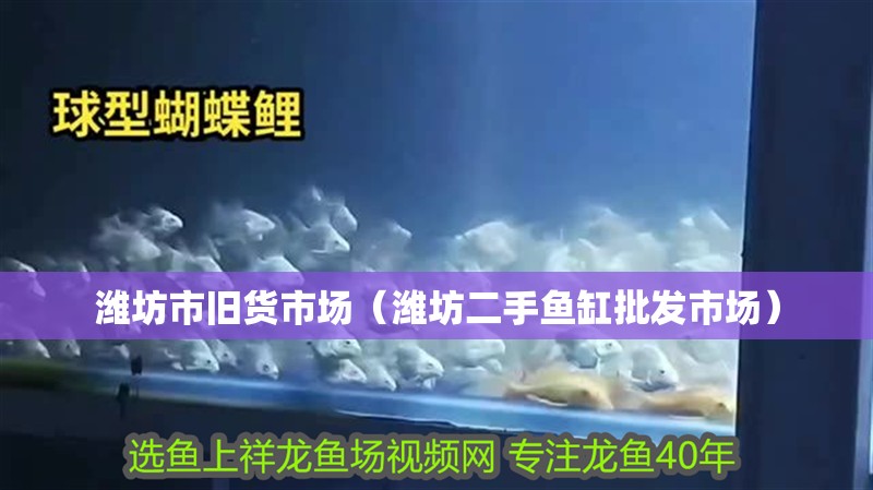 濰坊市舊貨市場（濰坊二手魚缸批發(fā)市場）