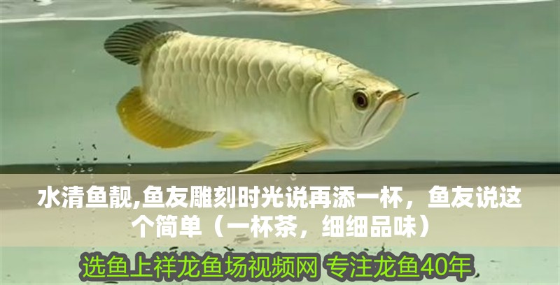 水清魚靚,魚友雕刻時光說再添一杯，魚友說這個簡單（一杯茶，細(xì)細(xì)品味）