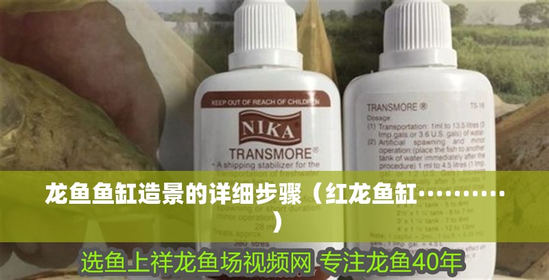 龍魚魚缸造景的詳細步驟（紅龍魚缸··········）
