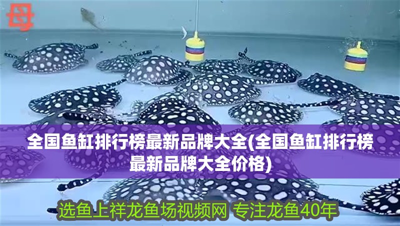 全國魚缸排行榜最新品牌大全(全國魚缸排行榜最新品牌大全價格)