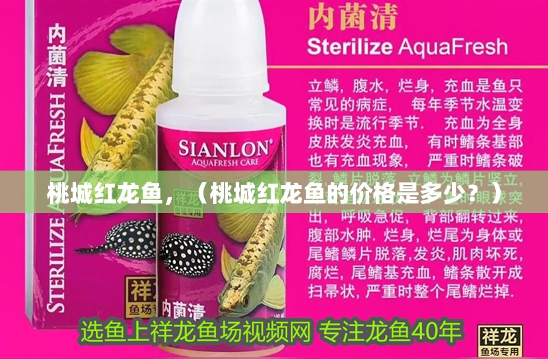 桃城紅龍魚，（桃城紅龍魚的價格是多少？）