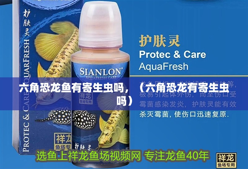 六角恐龍魚有寄生蟲嗎，（六角恐龍有寄生蟲嗎）